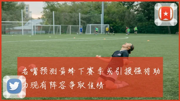 名嘴预测黄蜂下赛季或引援强将助力现有阵容争取佳绩